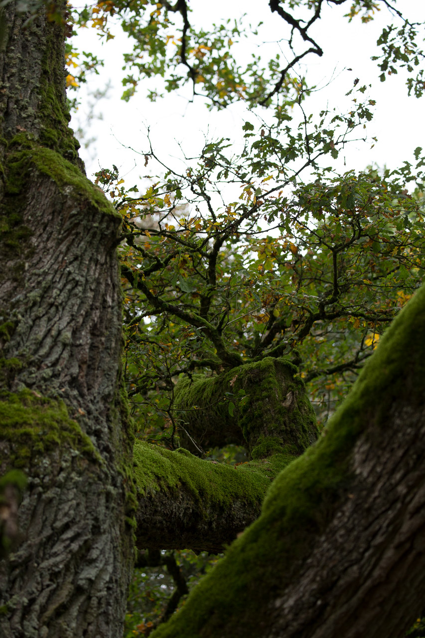 20231014100727 3K6A2240